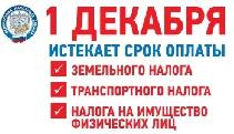 До 1 декабря 2025 года необходимо уплатить налоги